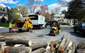 Best Tree Health Inspection  in Edwardsburg, MI